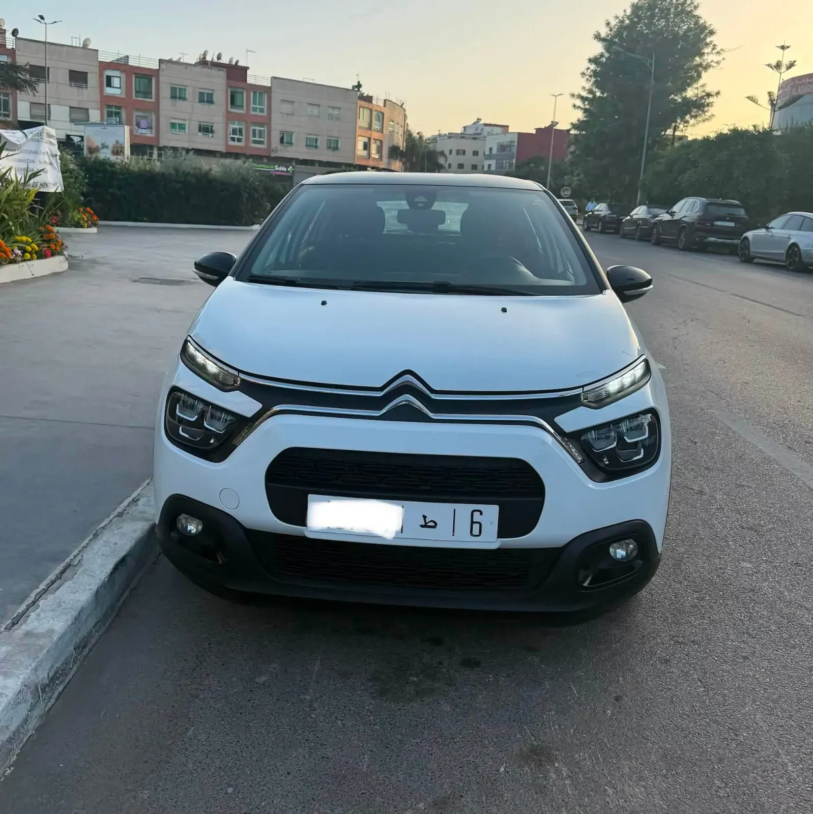 Citroën C3 · 2023 · ديزل - سيارات - الدار البيضاء - صورة 3